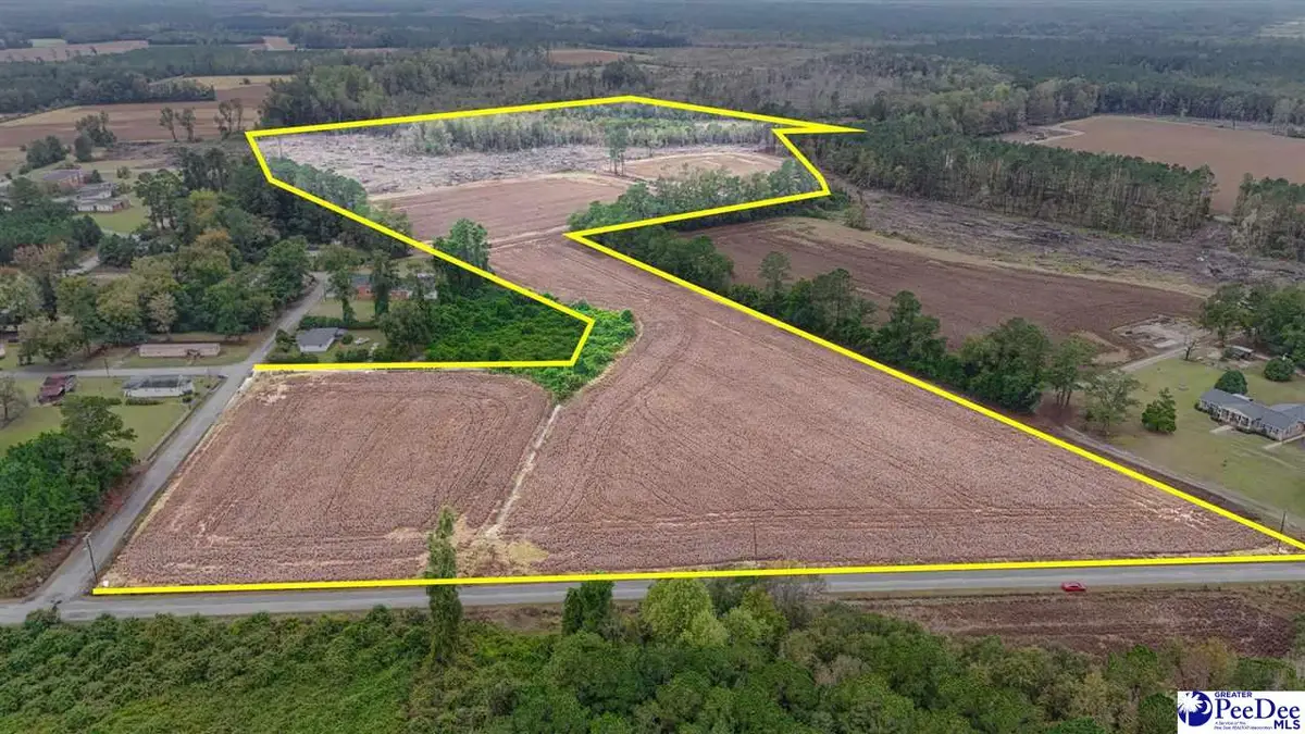 TBD Francis Gibson Rd, Centenary, SC 29519 - #1