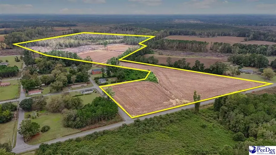 TBD Francis Gibson Rd, Centenary, SC 29519 - #2