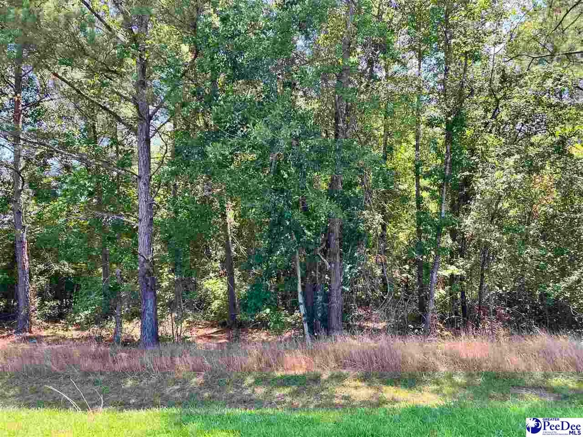 Lot 19 Ora Lane, Chesterfield, SC 29709 - #1