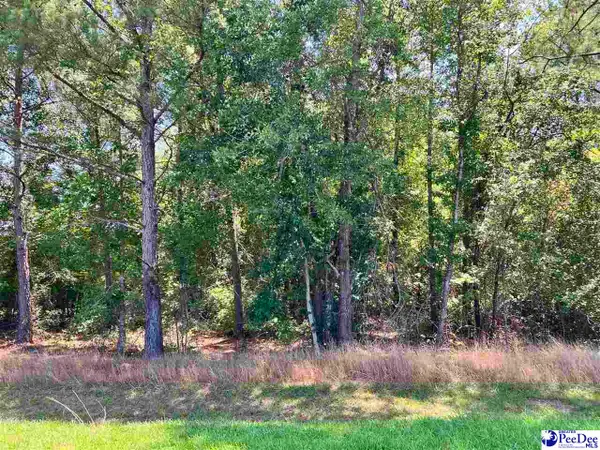 Lot 19 Ora Lane, Chesterfield, SC 29709