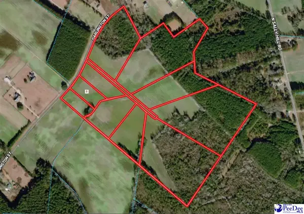 TBD Darlington Street, Timmonsville, SC 29161