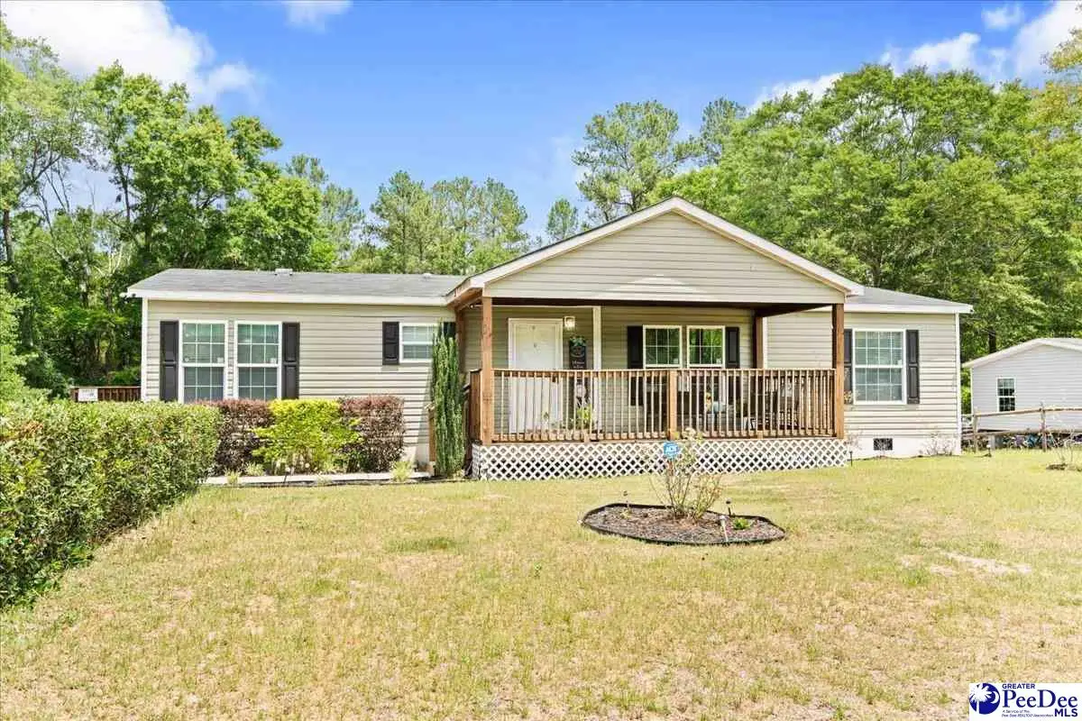 187 Central Place Lane, Pageland, SC 29728 - #1