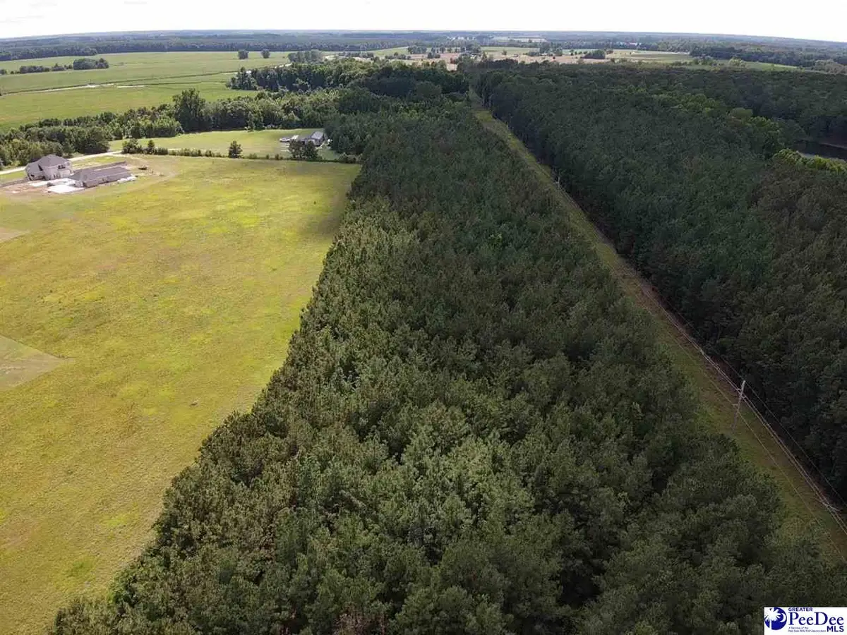 TBD Harllees Bridge Road, Little Rock, SC 29567 - #1