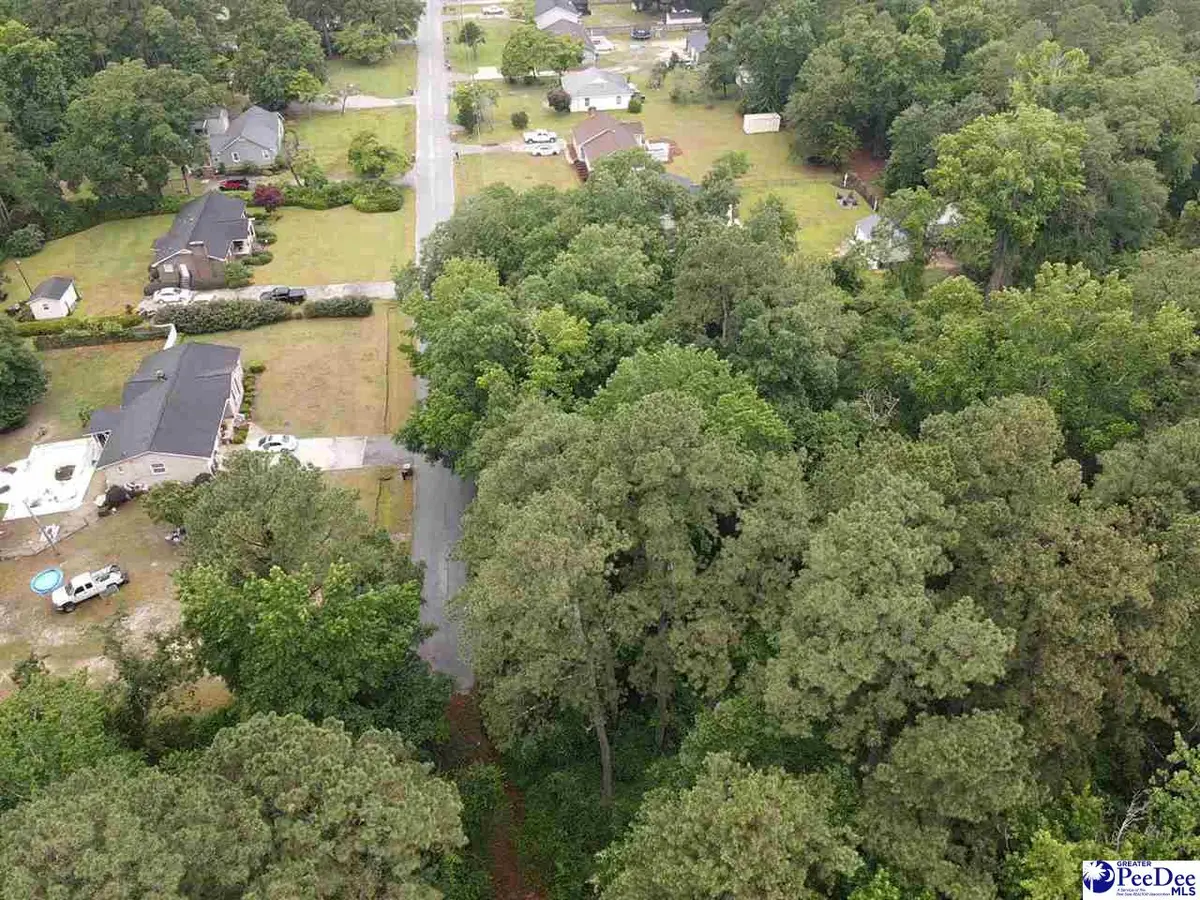 TBD Lakeside Court, Dillon, SC 29536 - #1