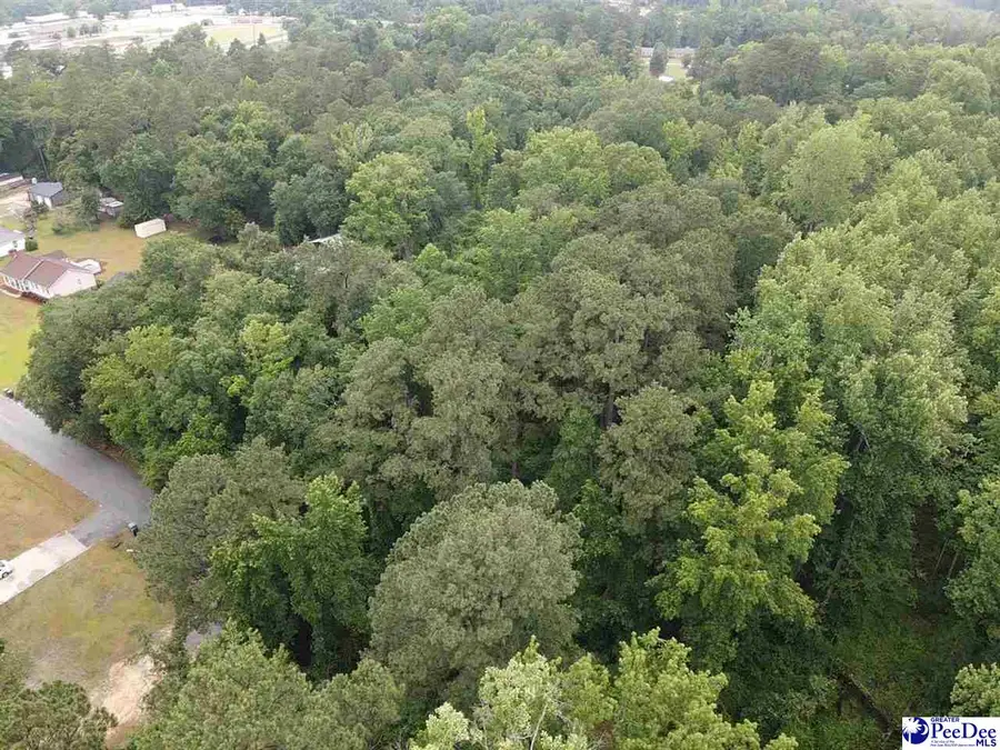 TBD Lakeside Court, Dillon, SC 29536 - #2