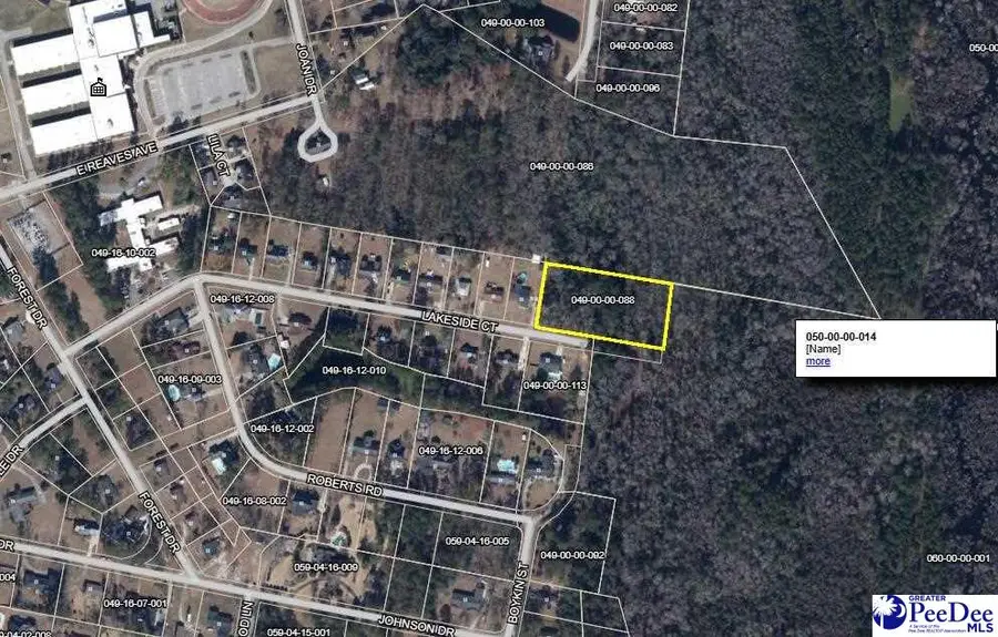 TBD Lakeside Court, Dillon, SC 29536 - #3