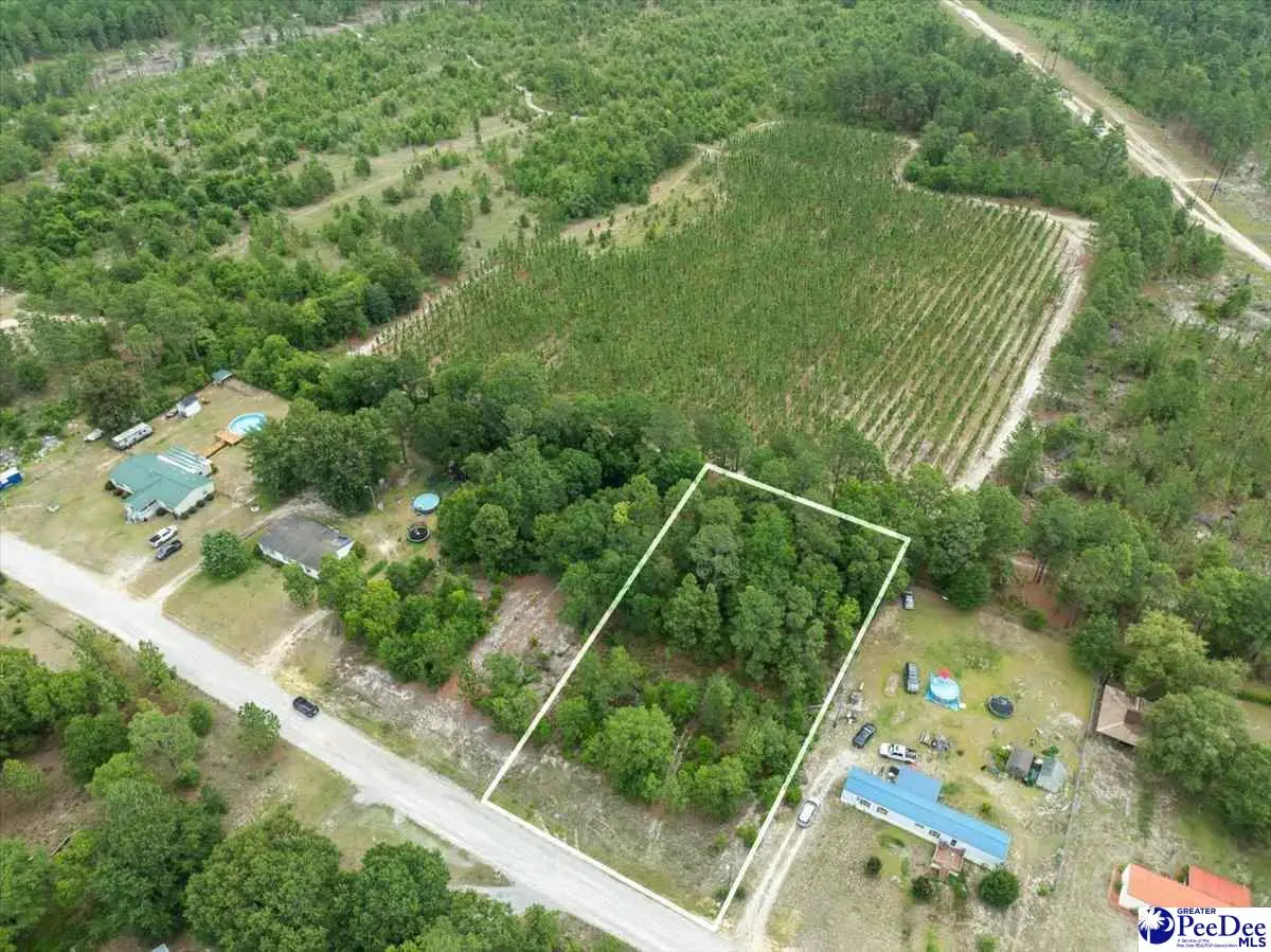 TBD lot 54 Doe Trail, Dillon, SC 29536 - #1