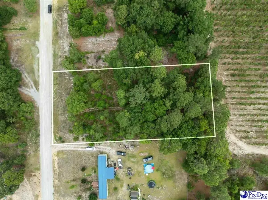 TBD lot 54 Doe Trail, Dillon, SC 29536 - #2