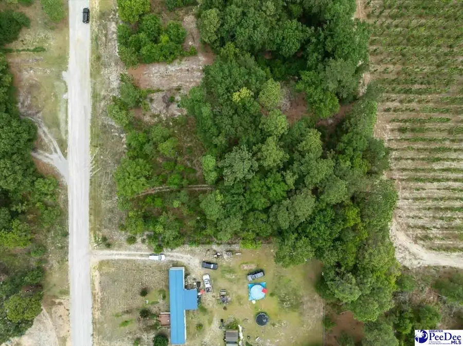 TBD lot 54 Doe Trail, Dillon, SC 29536 - #3