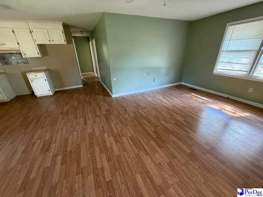 705 E Moore St, Olanta, SC 29114 - #3