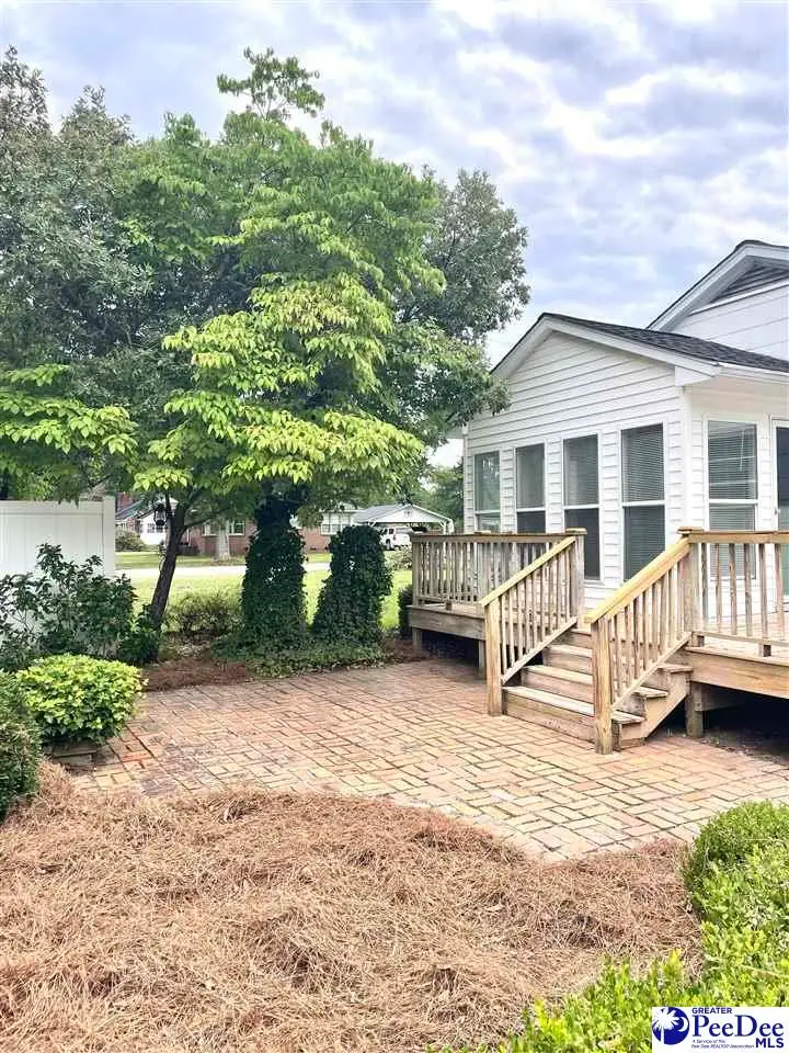 100 Davis Street, Chesterfield, SC 29709 - #3