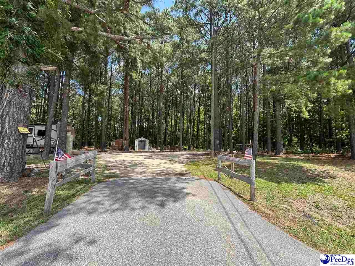 1671 Timmonsville Hwy, Darlington, SC 29532 - #1