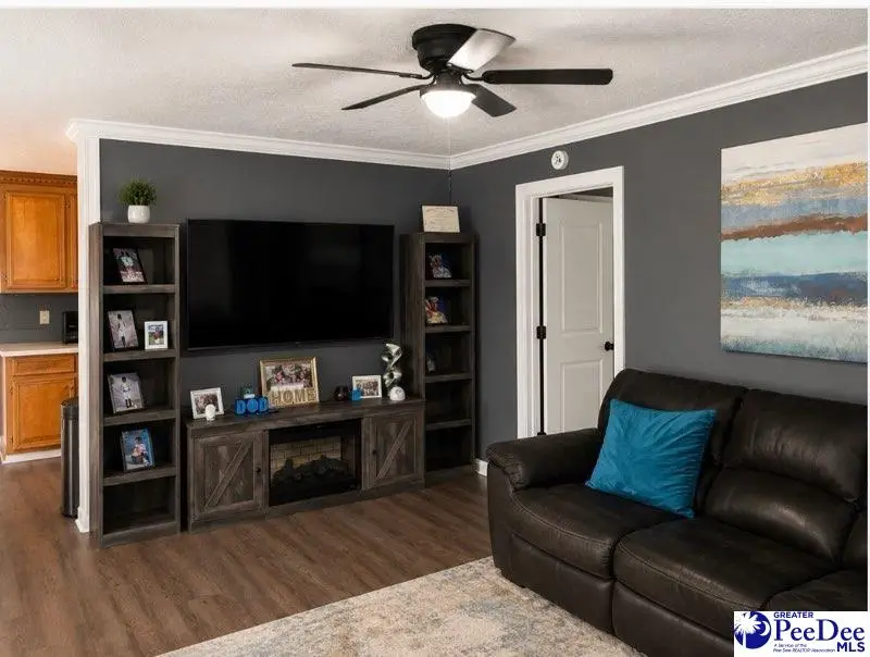 700 S 3rd Avenue, Dillon, SC 29536 - #2