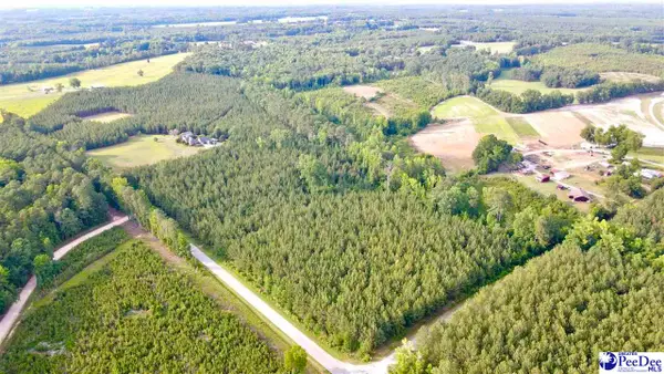 TBD W Jackson Road, Chesterfield, SC 29709