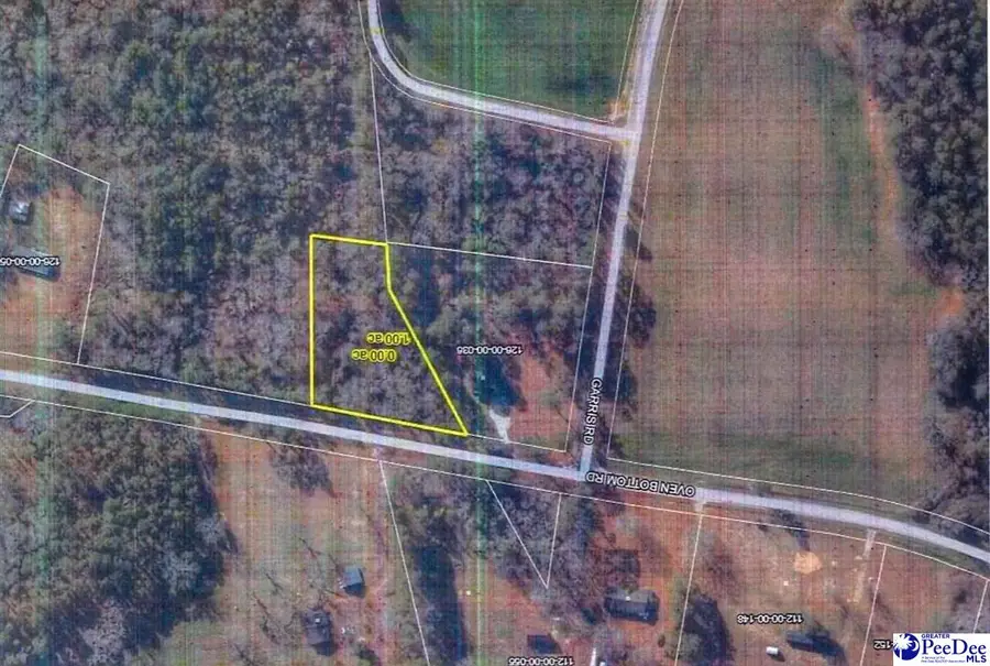 Lot 1 Oven Bottom Road, Nichols, SC 29581 - #2