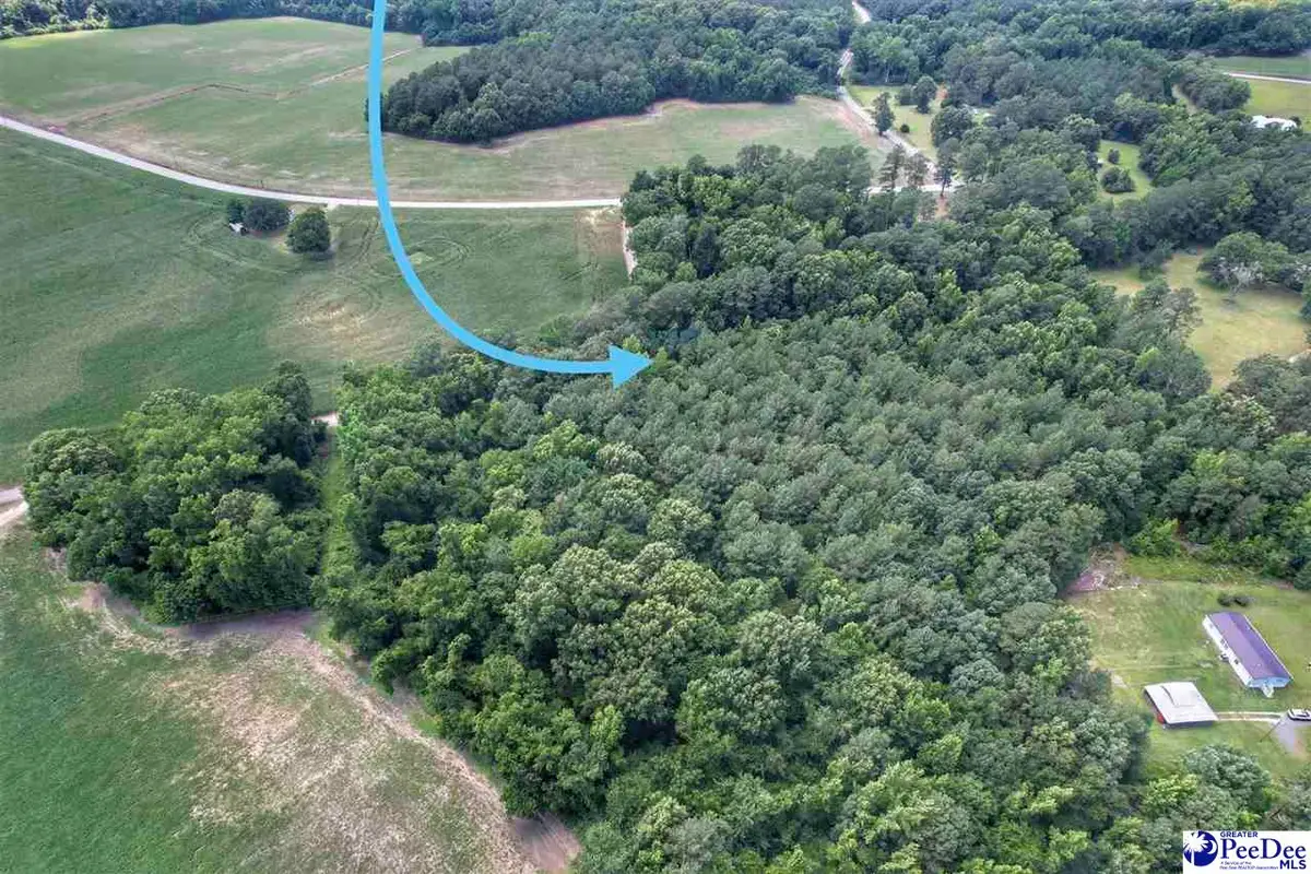 Lot 2 Meadow Court, Lake View, SC 29563 - #1