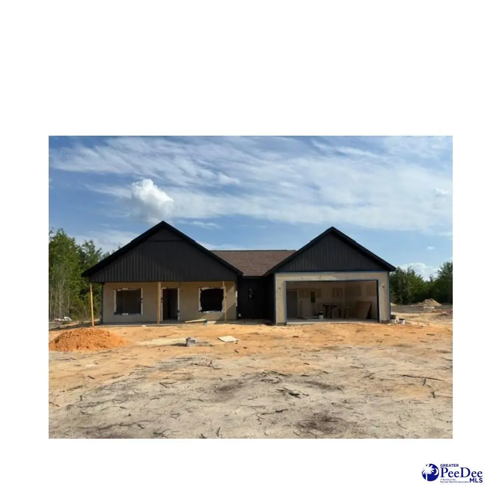 2282 Gallowaytown Road, Hartsville, SC 29550 - #1
