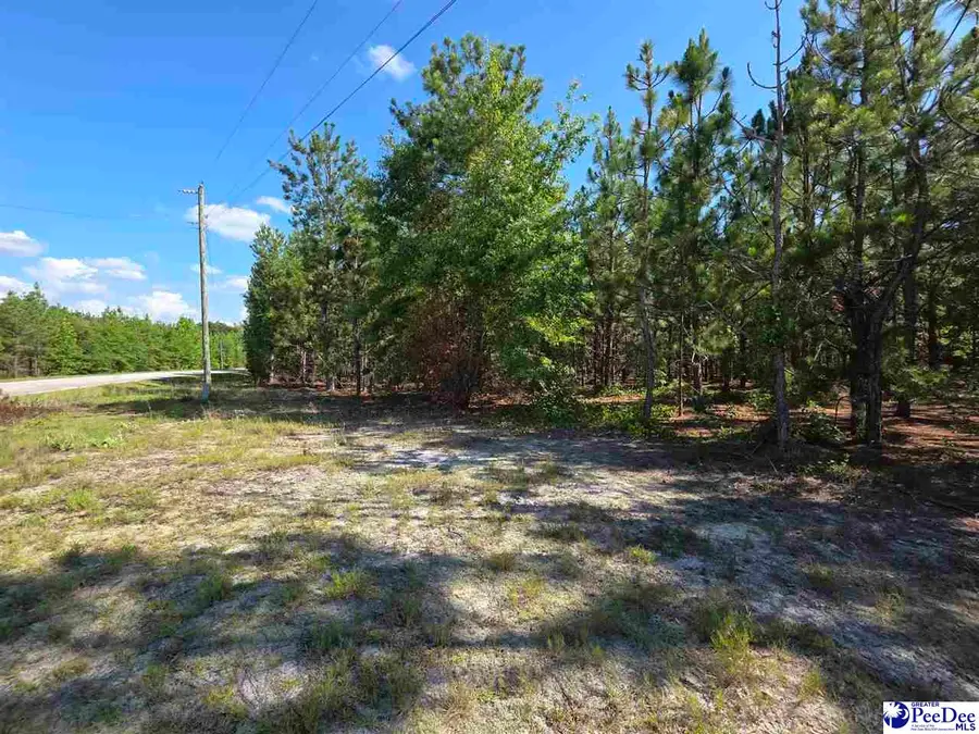0000000 Black Creek Road, Floyds Crossroads, SC 29727 - #2