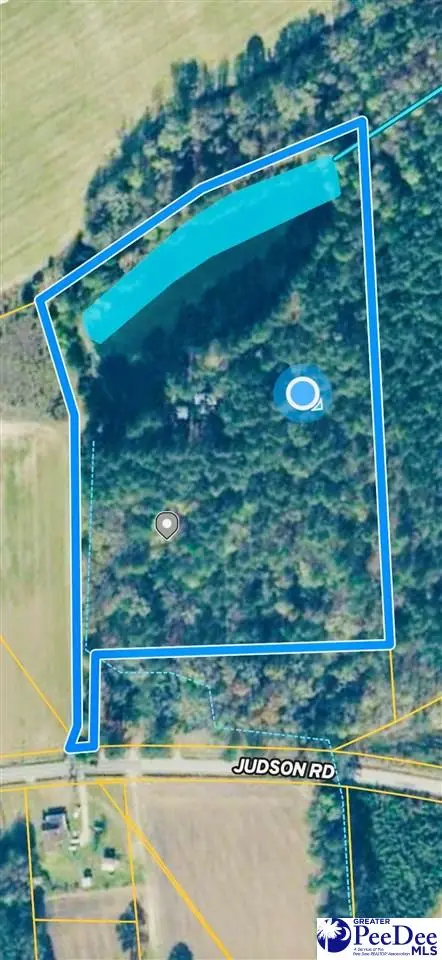 5326 Judson Rd, Clio, SC 29525 - #1