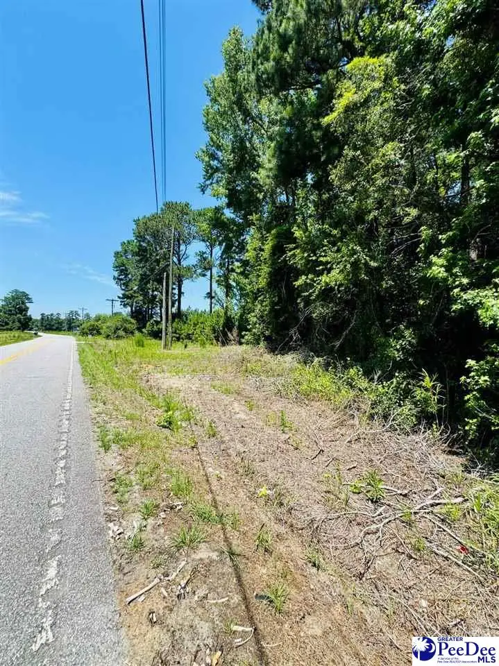 5326 Judson Rd, Clio, SC 29525 - #3