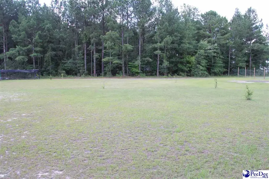 TBD Winery Road, Patrick, SC 29584 - #2