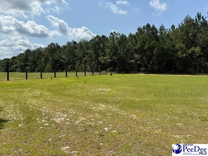 000 Winery, Patrick, SC 29584 - #3