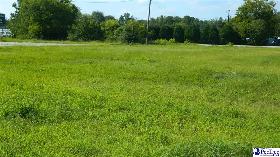 4603 W Highway 76, Marion, SC 29571 - #2