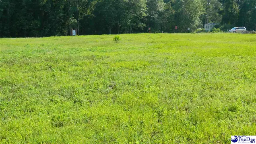 4603 W Highway 76, Marion, SC 29571 - #3