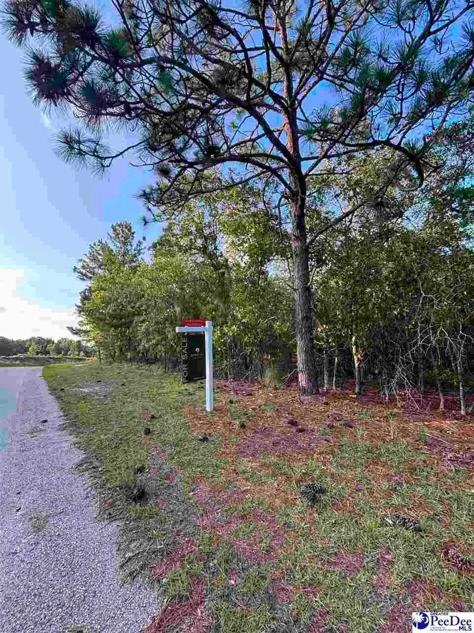 Ackerman Dr, Hartsville, SC 29550-9516 - #1
