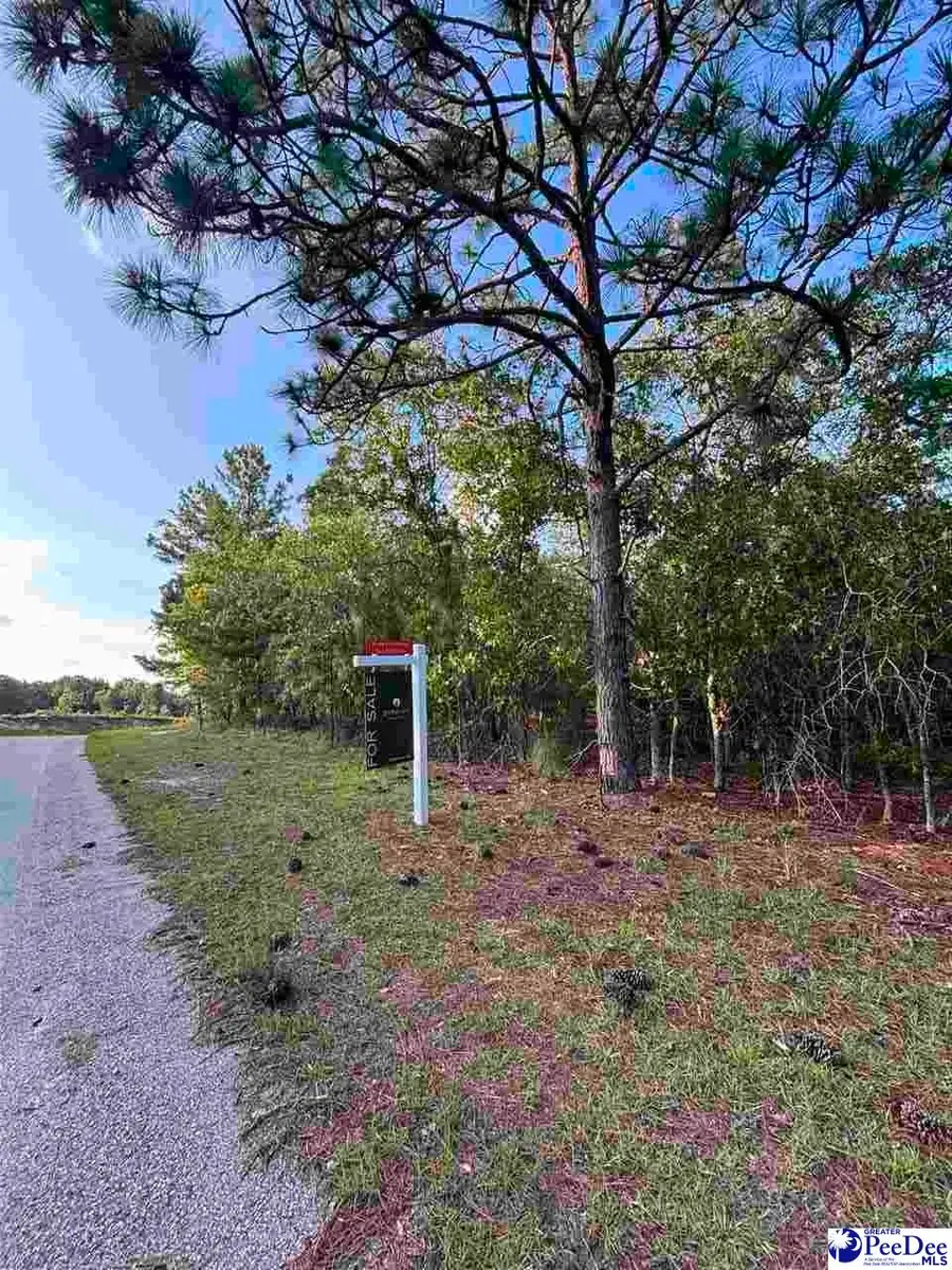 Ackerman Dr, Hartsville, SC 29550-9516 - #2