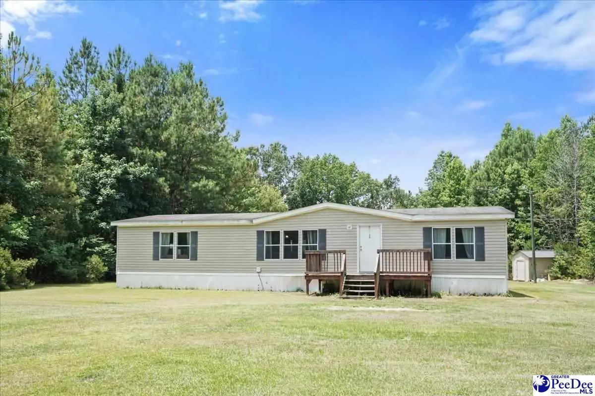 1120 Hawkins Landing Rd, Effingham, SC 29541 - #1