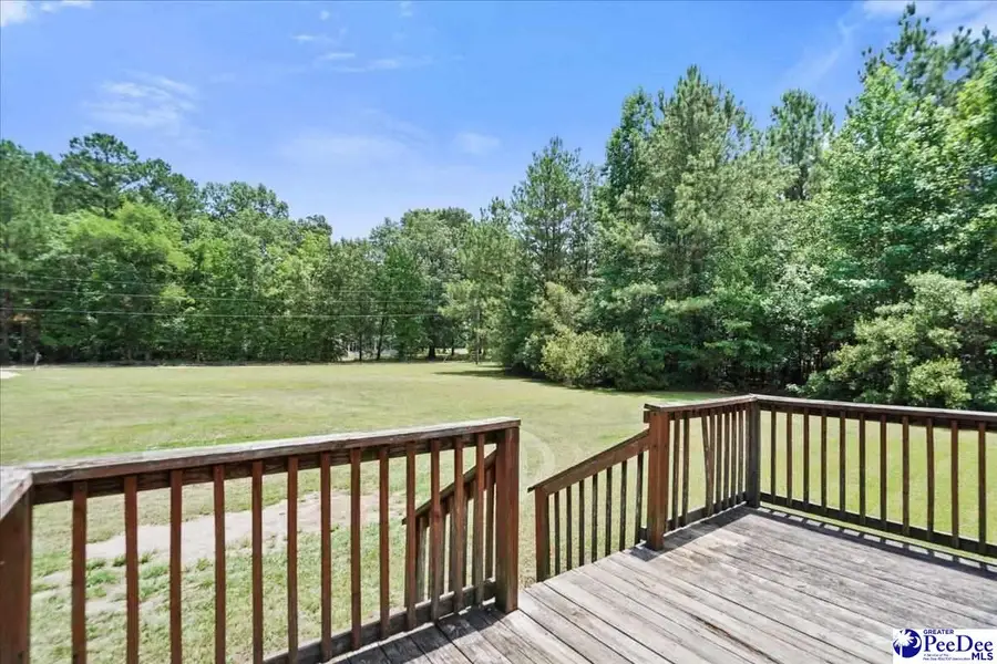 1120 Hawkins Landing Rd, Effingham, SC 29541 - #3