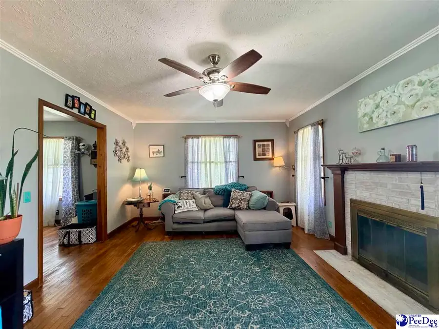 113 Zelle Street, Latta, SC 29565 - #3