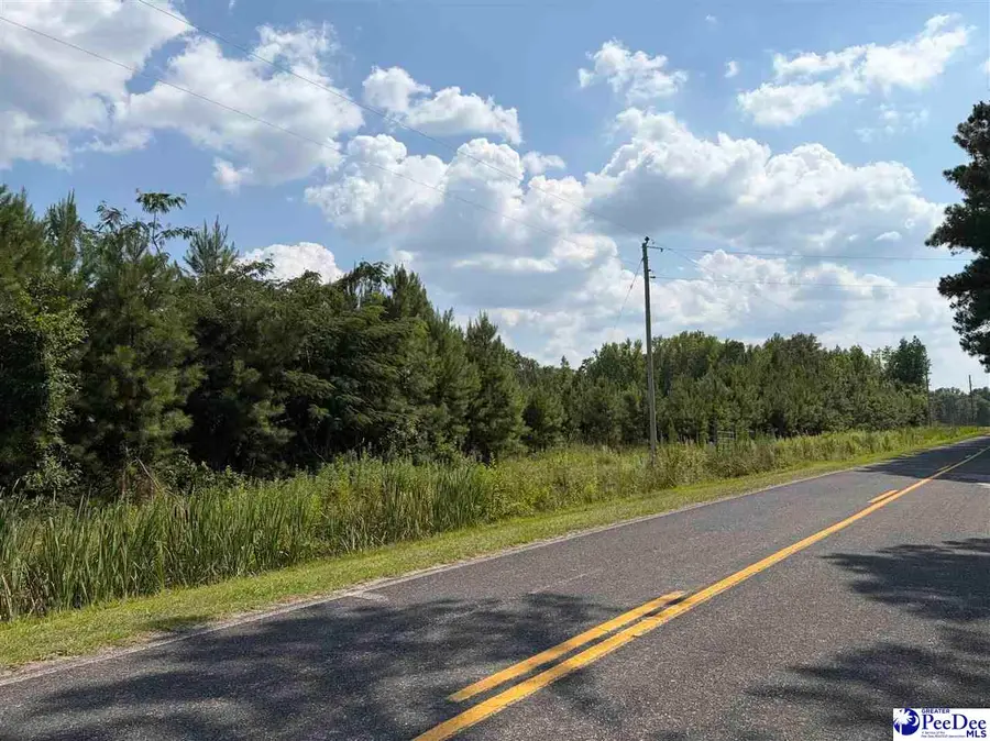 TBD Highway 556, Scranton, SC 29591 - #2