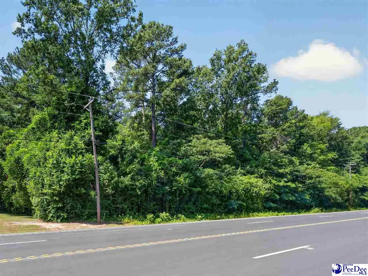 TBD Us Hwy.15 And 401-bypass W (lots 9,10,11,12,13,14), Bennettsville, SC 29512 - #1
