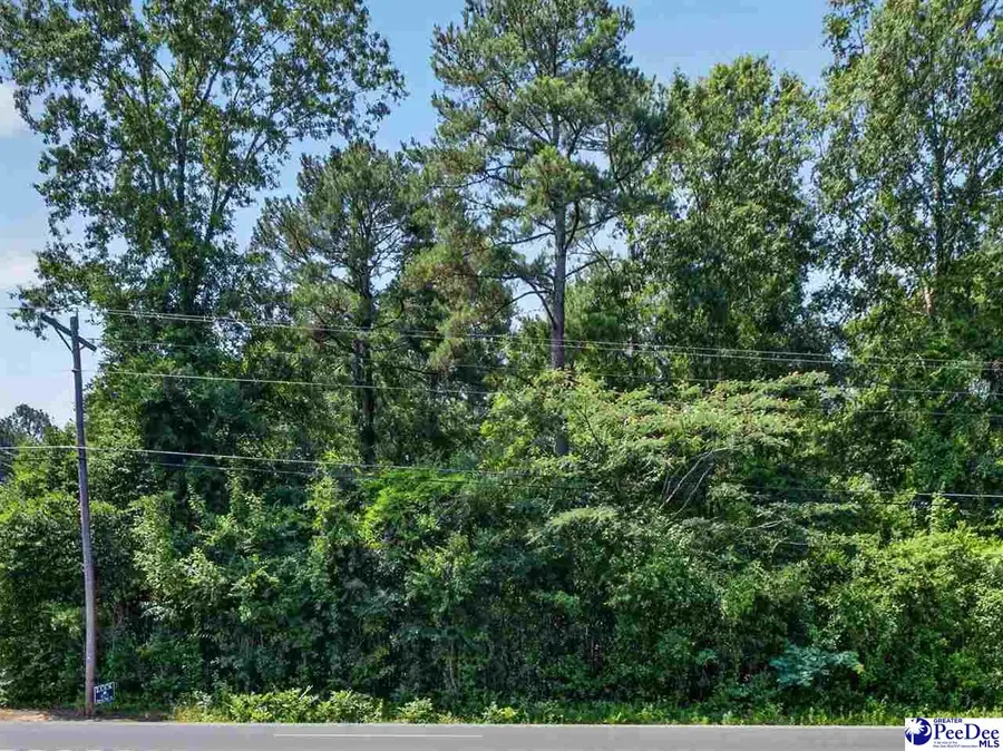 TBD Us Hwy.15 And 401-bypass W (lots 9,10,11,12,13,14), Bennettsville, SC 29512 - #2
