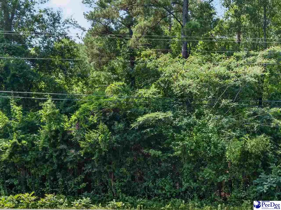 TBD Us Hwy.15 And 401-bypass W (lots 9,10,11,12,13,14), Bennettsville, SC 29512 - #3