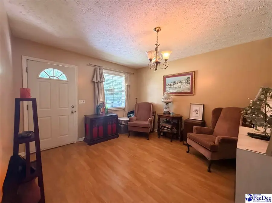 546 Lakeside Court, Dillon, SC 29536 - #2