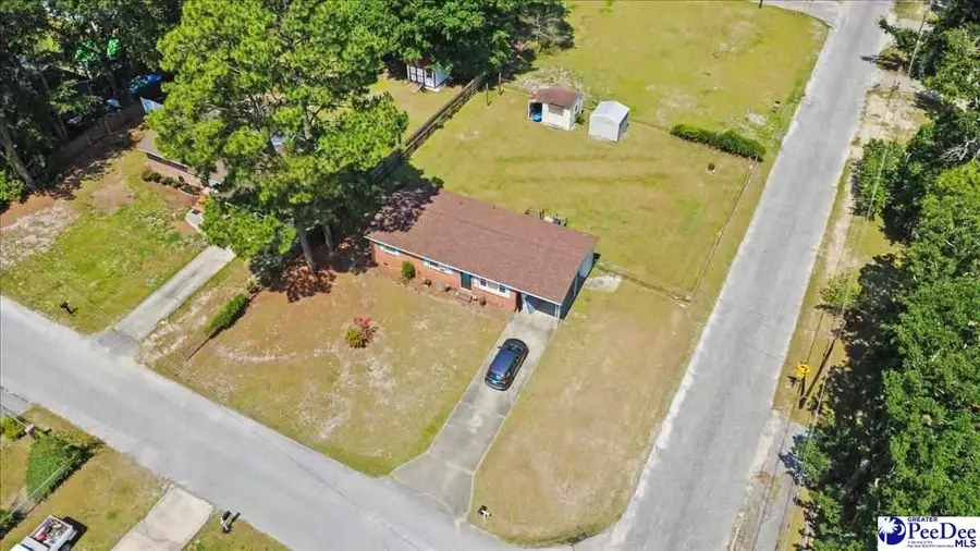 1134 Howle Street, North Hartsville, SC 29500 - #2