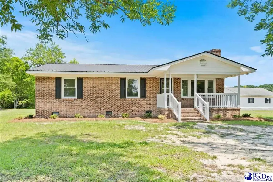 1650 Oven Bottom Rd., Nichols, SC 29581 - #3