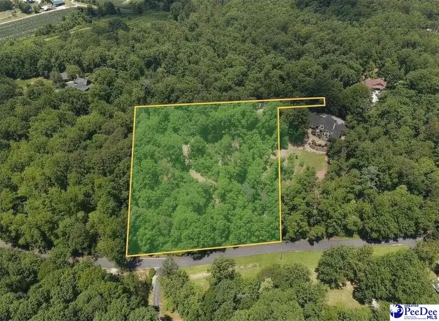 126 Valley Lake Trail, Travelers Rest, SC 29690 - #2
