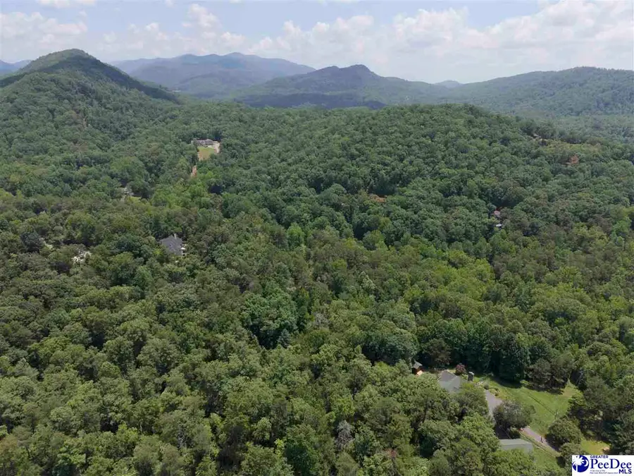 126 Valley Lake Trail, Travelers Rest, SC 29690 - #3
