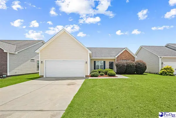3022 Red Berry Circle, Effingham, SC 29541