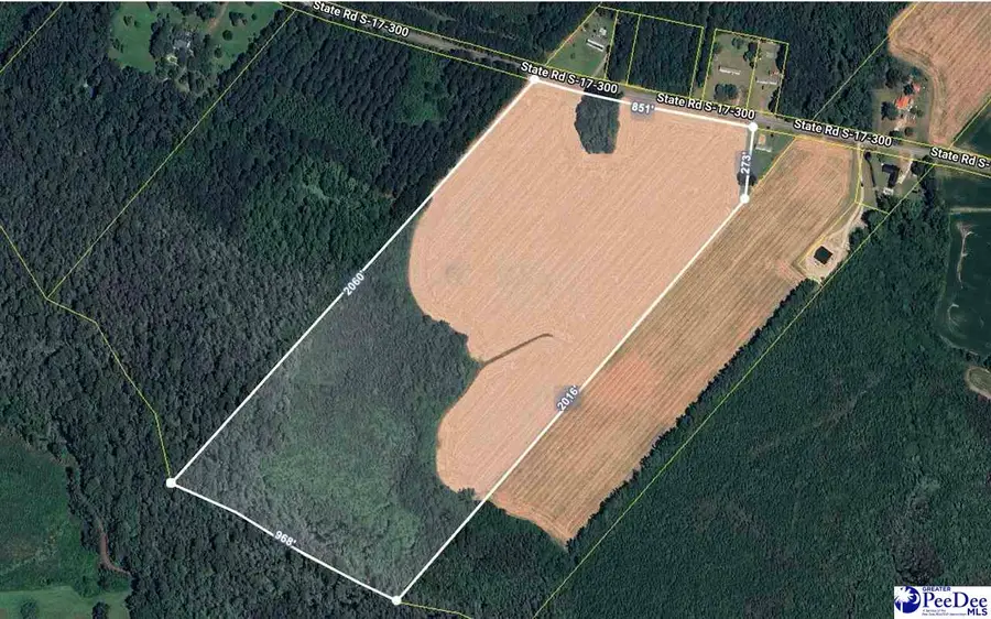 45+/- acres Road 300, Dillon, SC 29536 - #2