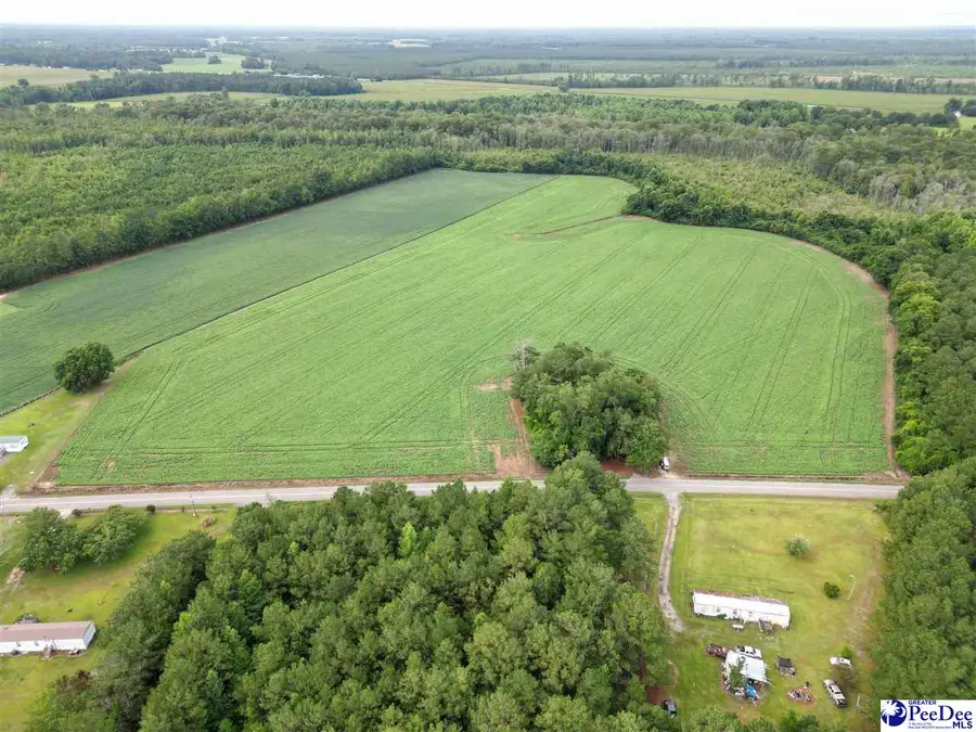 45+/- acres Road 300, Dillon, SC 29536 - #3