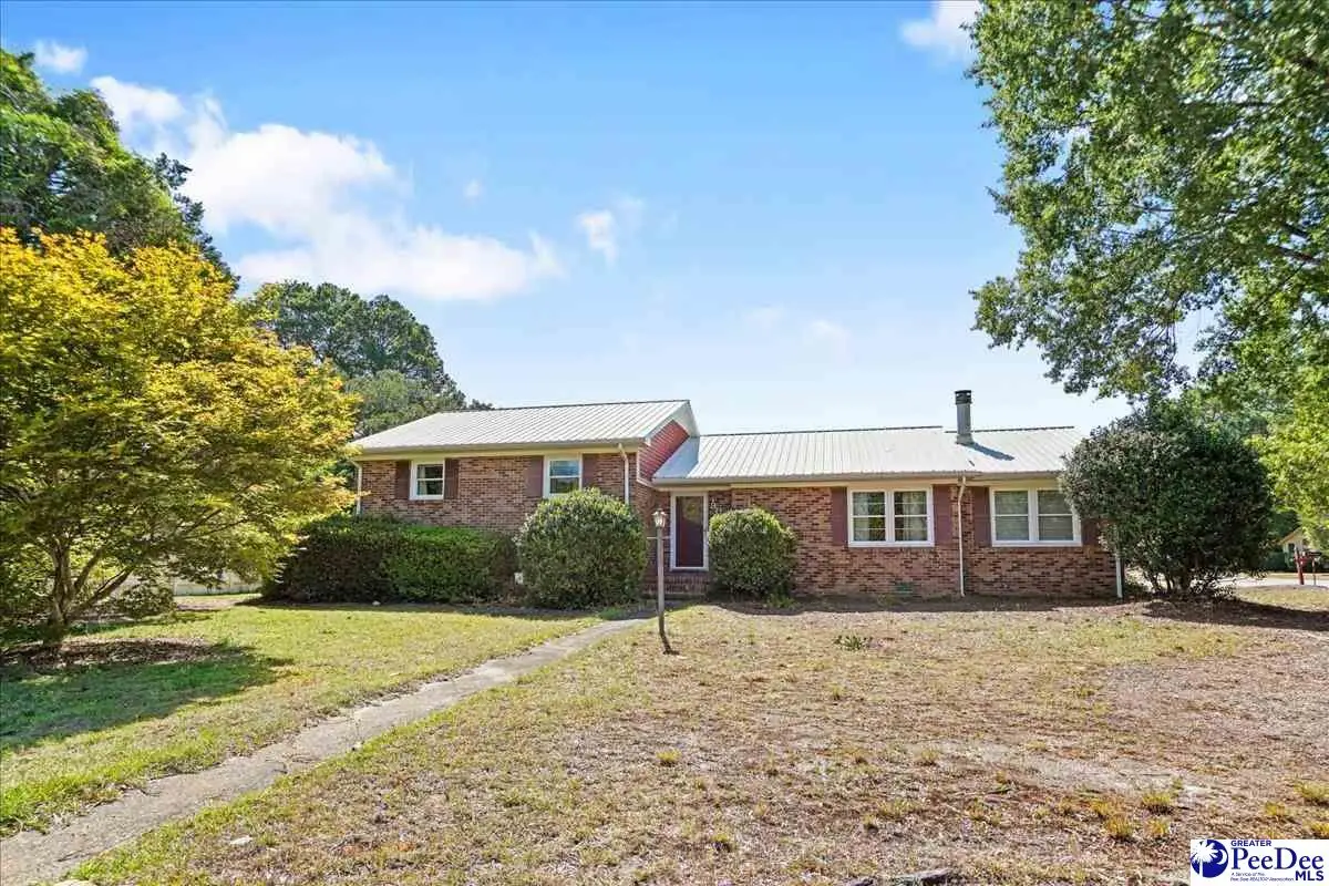 305 Dianne Drive, Cheraw, SC 29520 - #1