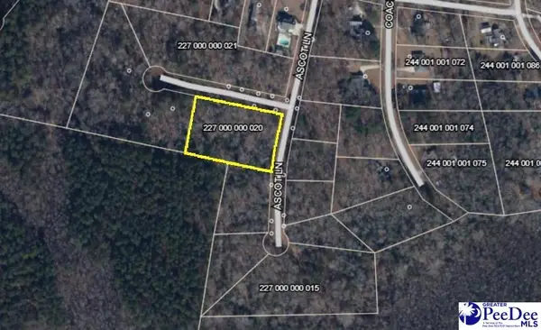 Ascot Lane, Cheraw, SC 29520
