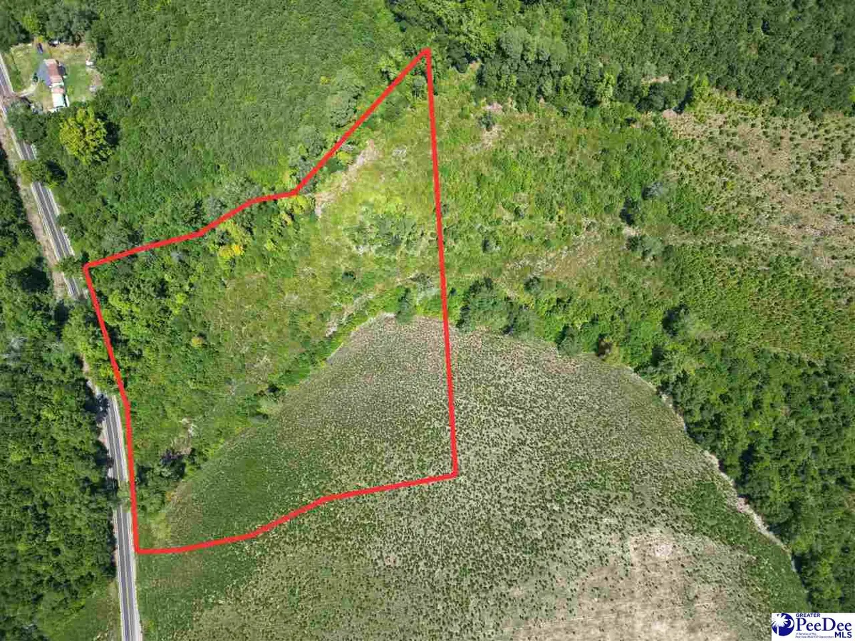 8.14 Acres off Dalcho Rd, Latta, SC 29565 - #1