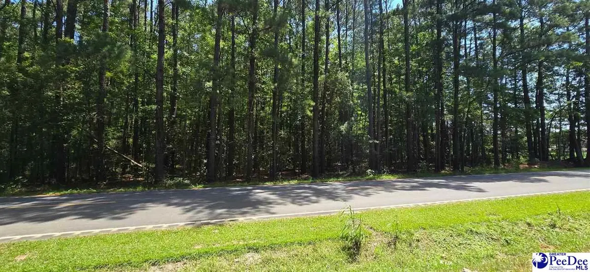 TBD4 Highway 111, Little River, SC 29566 - #1