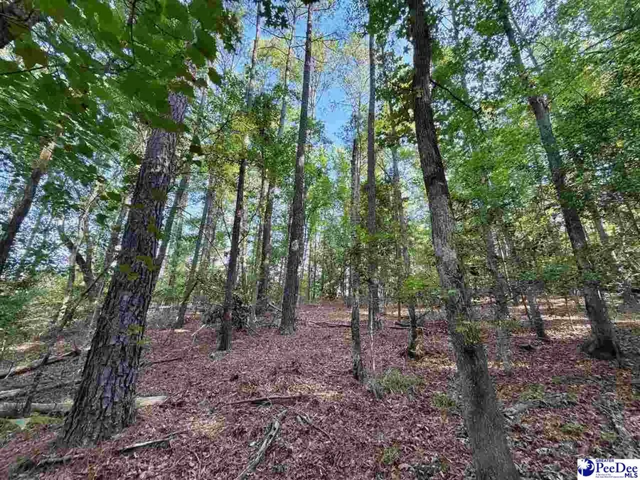 1020 Scotch Road, Chesterfield, SC 29709 - #2